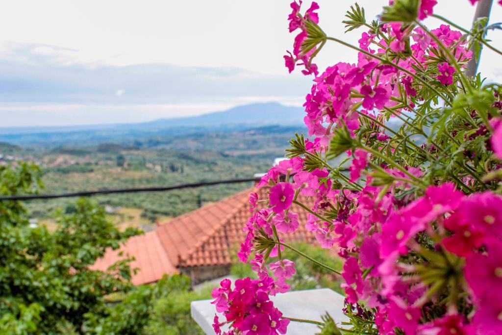 Guesthouse Lykourgos Mavrommátion Extérieur photo